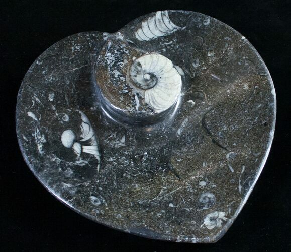 Heart Shaped Fossil Goniatite Dish #9006